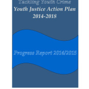 Progress Report On Youth Justice Plan Welcomed | Irish Legal News