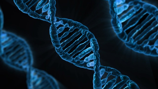 NI: DNA and fingerprints retention proposals go out to consultation