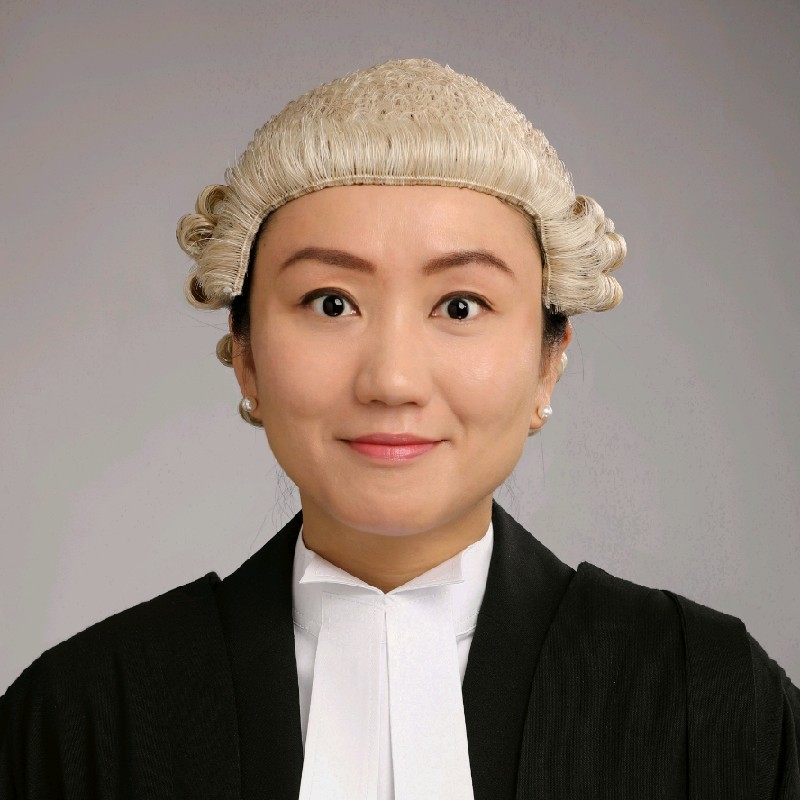 Ireland's first Chinese-born barrister to receive Praeses Elit Award