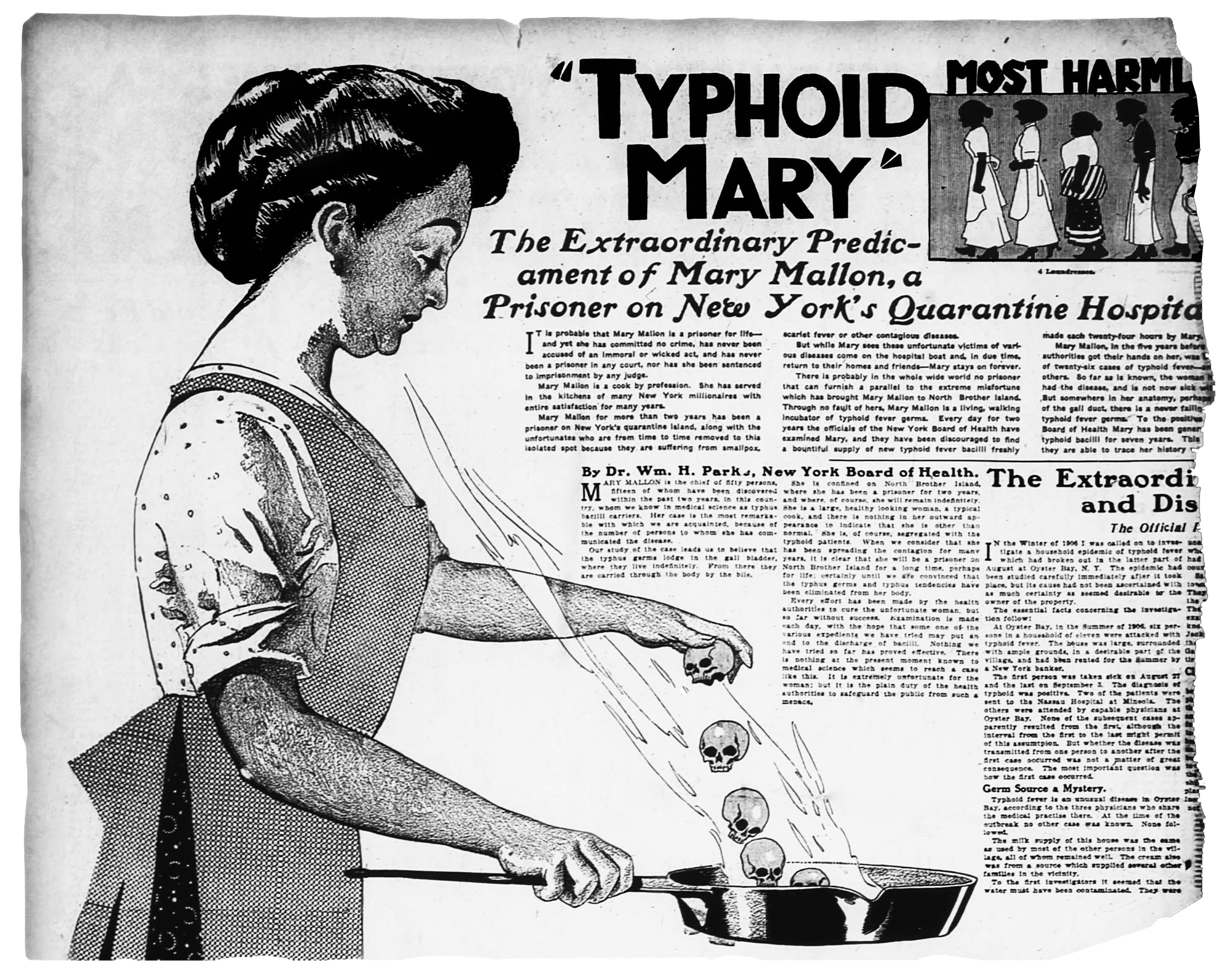 Irish Legal Heritage: Typhoid Mary