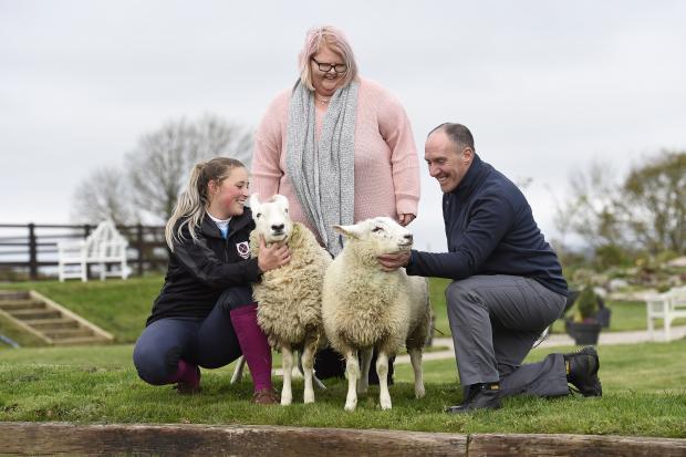 NI: Lambs reared by young people at Hydebank donated to charity