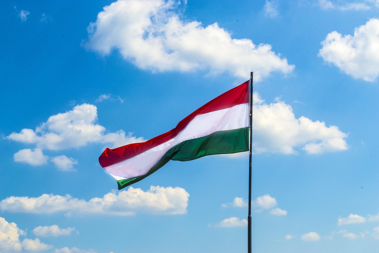 Hungarian ban on Pride marches condemned