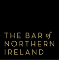 NI: Proposed bar on cross-examination by domestic abusers 'should apply to family courts'