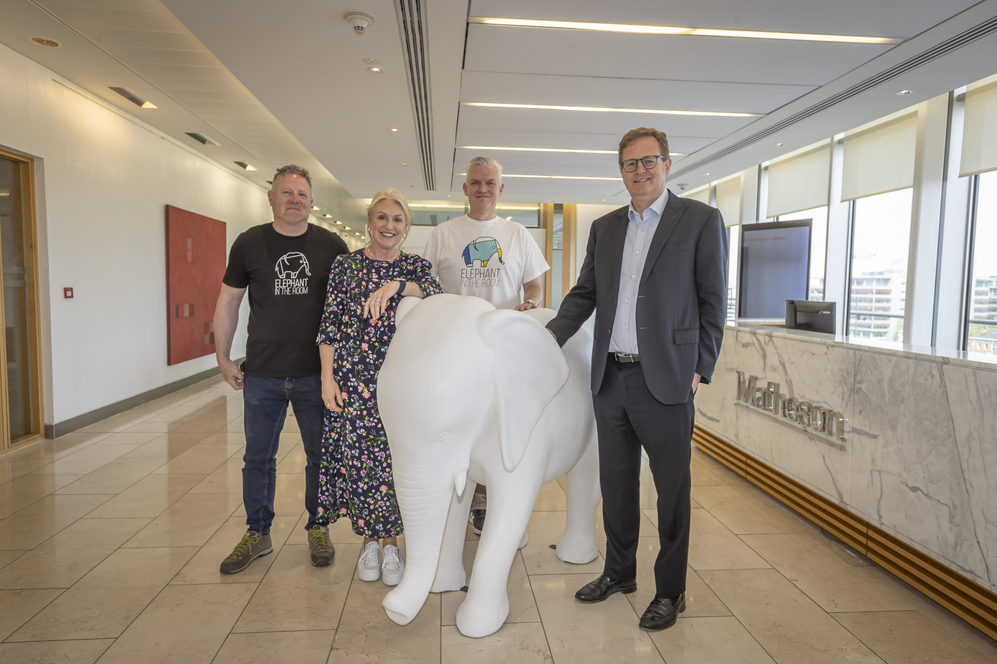 Matheson launches mental health initiative with Elephant in the Room
