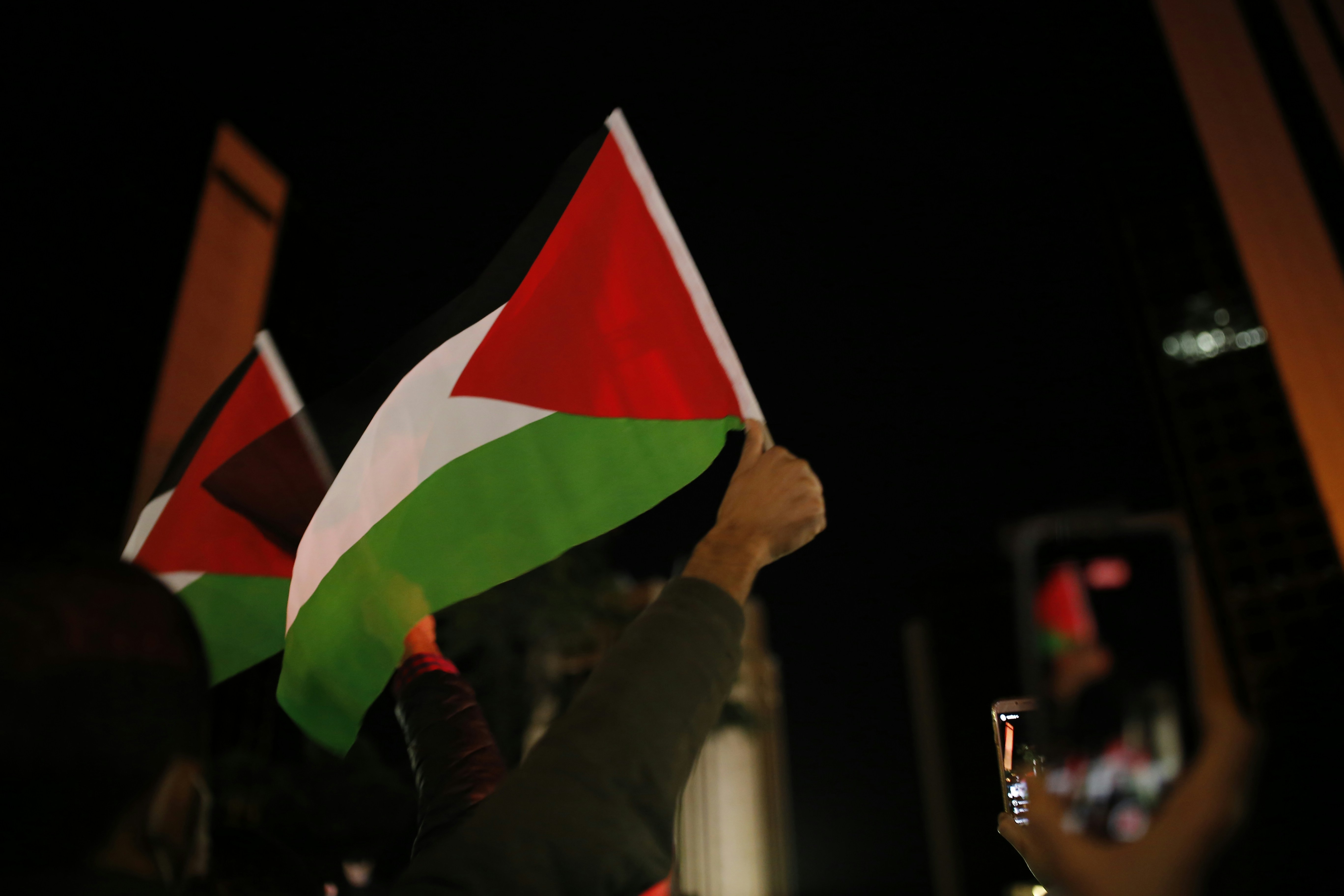 Ireland recognises State of Palestine