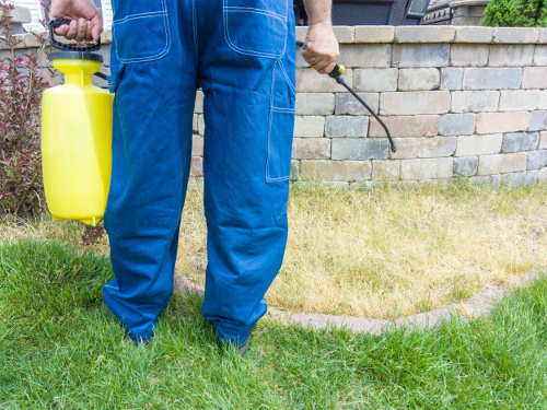 US: Damages award in cancer-causing weed killer case slashed by two-thirds